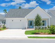 124 Green Heron Street Unit #Lot 44, Watersound image