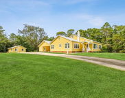 443 Bob Sikes Road, Defuniak Springs image