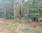 Lot 5 Blk 6 E. Violet Lane, Defuniak Springs image