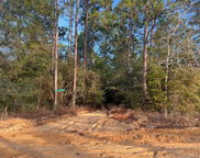 Lots 7 & 8 Walnut Drive, Defuniak Springs image