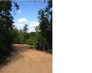 206 Kirkwood Run, Crestview image