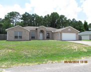 247 Trish Drive, Crestview image