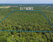 31 acres Canyon Trail, Baker image