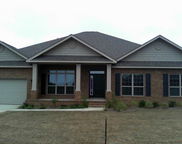 287 Paradise Palm Circle, Crestview image