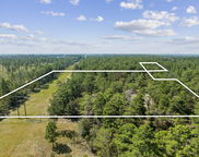 10 Acres White Dog Lane, Defuniak Springs image