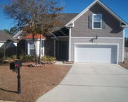 314 Scotch Pine Lane, Crestview image