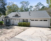 830 Sparkleberry Cove, Niceville image
