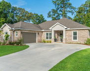 4858 Aunt Mary's Loop, Crestview image