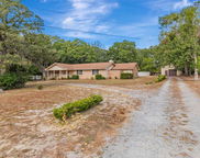 113 Thurston Place, Crestview image