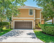 265 Chipola Cove, Destin image