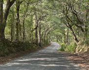 164.19 AC Old River Road, Baker image