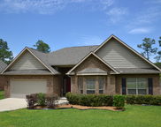 808 Wild Egret Lane, Crestview image
