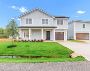 246 Shelter Cove Drive, Santa Rosa Beach image