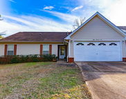 801 Sparkleberry Cove, Niceville image